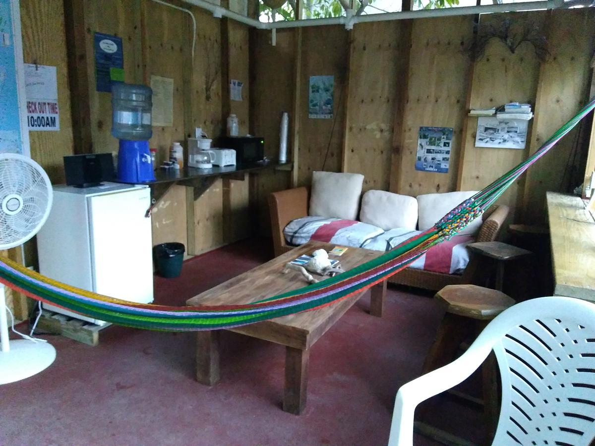 Placencia Hostel Buitenkant foto